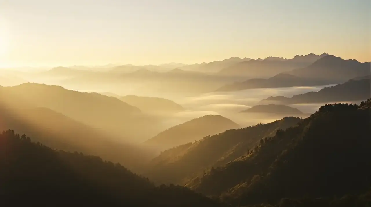 天台上的吉他 剧照